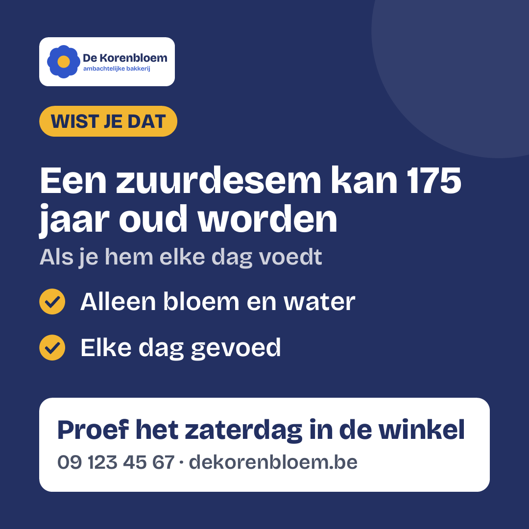 Quadratisch 1:1