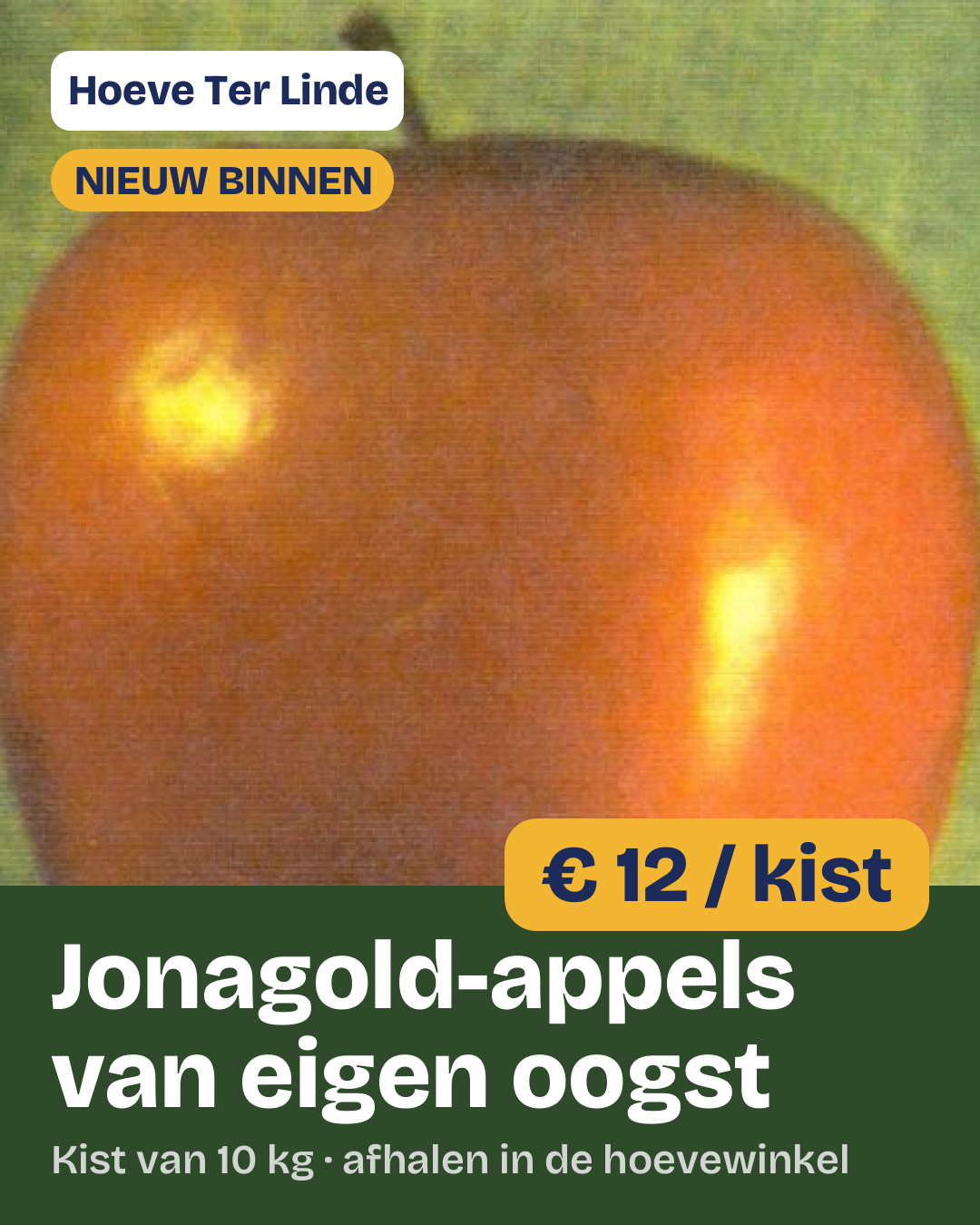 Hochformat 4:5